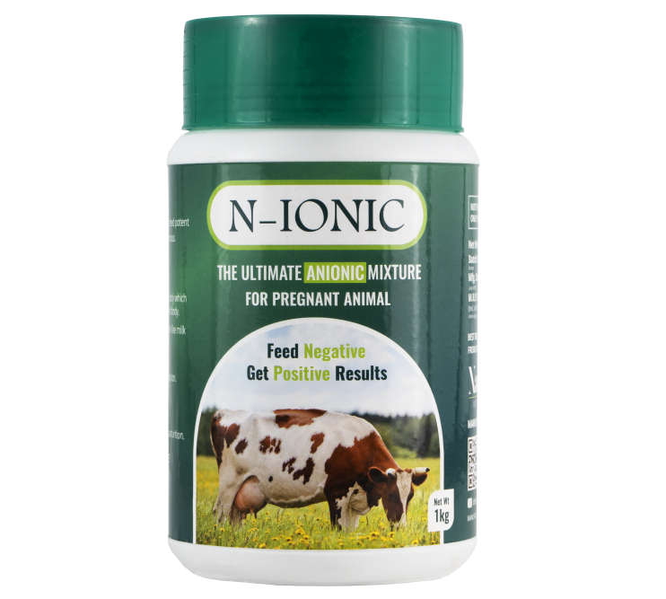 N-IONIC